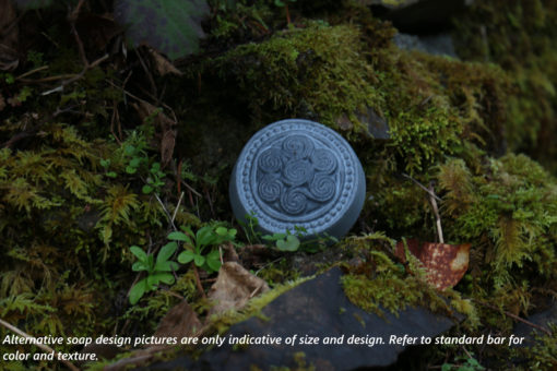 Celtic Sheild Design